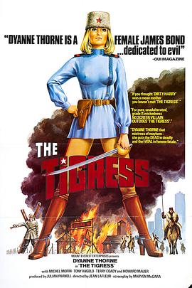 青岛网站优化简历照片app